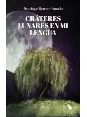 CrÁteres Lunares En Mi Lengua