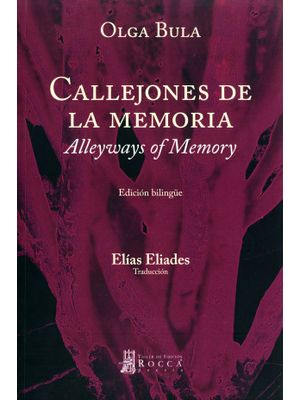 Callejones de la memoria Alleyways of memory (Bilingüe)