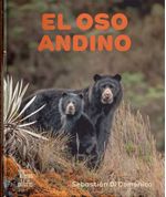 El oso andino