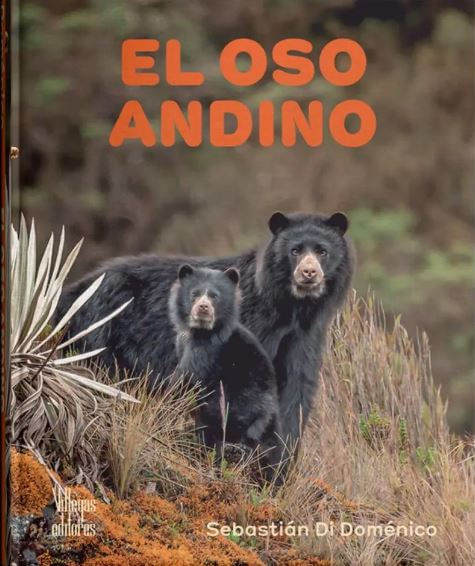 El oso andino