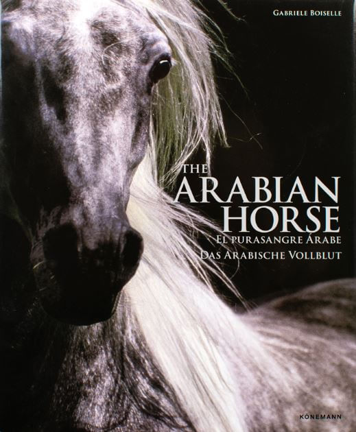 The Arabian Horse