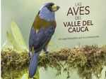Las Aves del Valle del Cauca