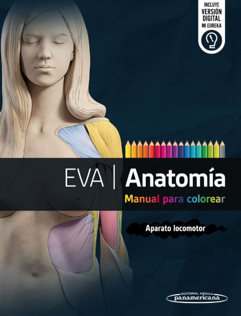 Eva Anatomía Aparato Locomotor Manual para colorear