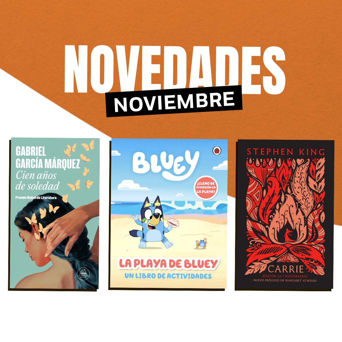 Novedades noviembre